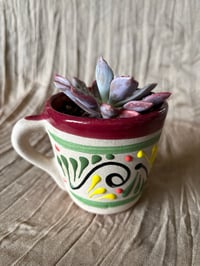 Image 4 of The Debbie Plant in Painted Terra Cotta Cup