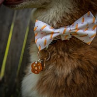 Image 2 of Harvest Hound Collar Charm