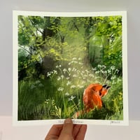 Image 1 of Fox And Cow Parsley - Archive Quality Print