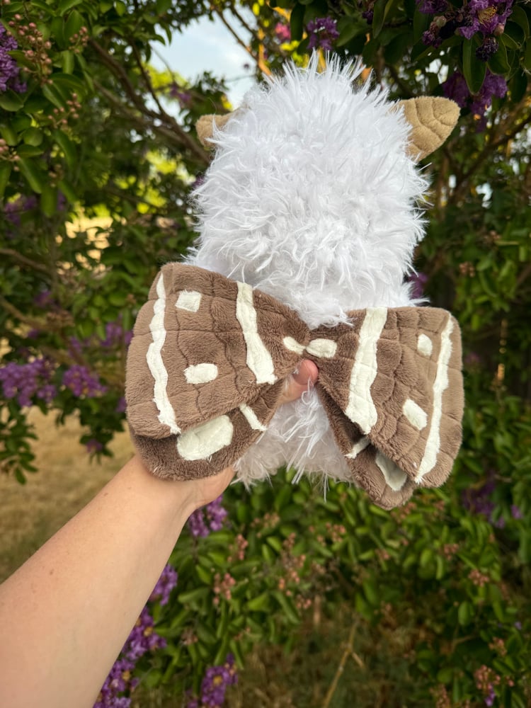 Image of fluffy moth