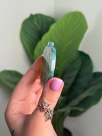 Image 2 of MOSS AGATE APPLE -INDIA-