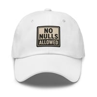 Image 2 of No Null Allowed Hat
