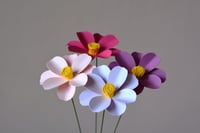 Image 1 of Cosmos
