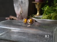 Image 3 of Tigers Eye Studs