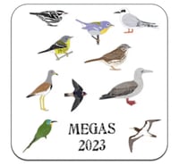 Image 1 of Rarities 2023 Coasters