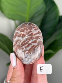 Image 6 of SANGRIA LACE AGATE PALM STONES LOT 2