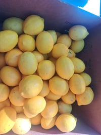 Image 3 of Freeze Dried Myer Lemon or Orange Wheels