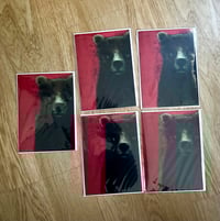 Image 2 of Copy of Set of 5 Moody Bear Red Greeting Cards 5 x 7 Individually Wrapped 