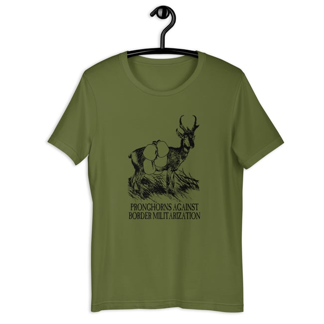 Pronghorns against - more colors