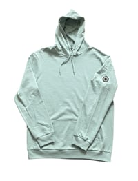 Image 1 of Richards Hoodie in Fresh sage
