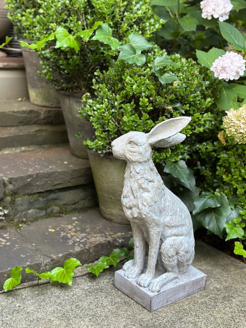 Image of Handsome Hare  on base