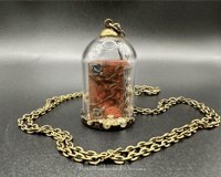 Image 6 of Book Glass Dome Necklace