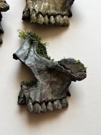 Image 5 of Skull Fragments (wall art)