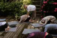 Image 6 of Japanese Garden Mini Sanctuary Session 