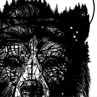 Image 4 of BEAR FOREST FACE x PAYS DE L'OURS