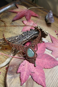 Image 1 of Forest collection🍁