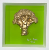 Limousine Broccoli 