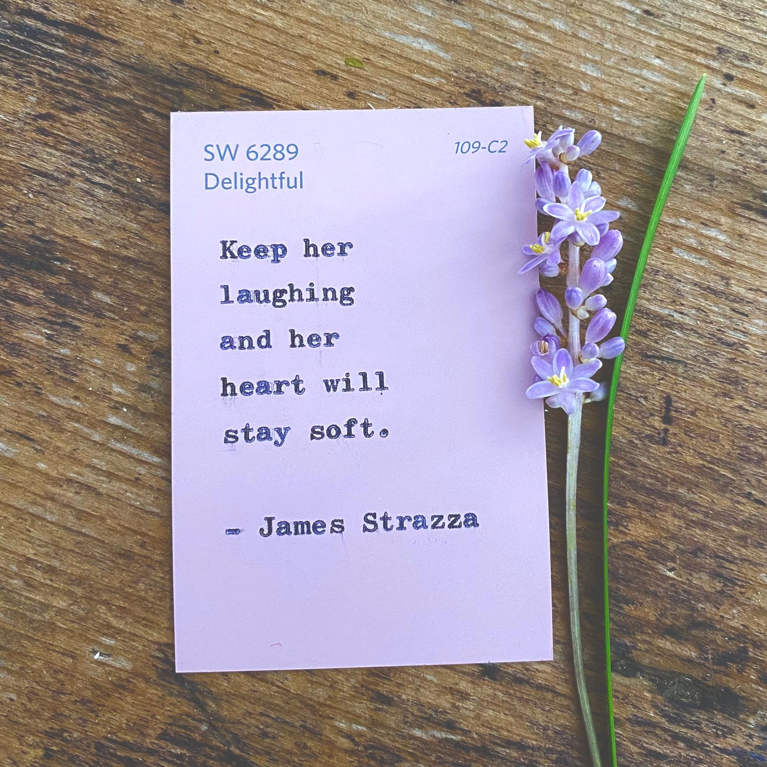Hand Typed Poem | Color Palette Card