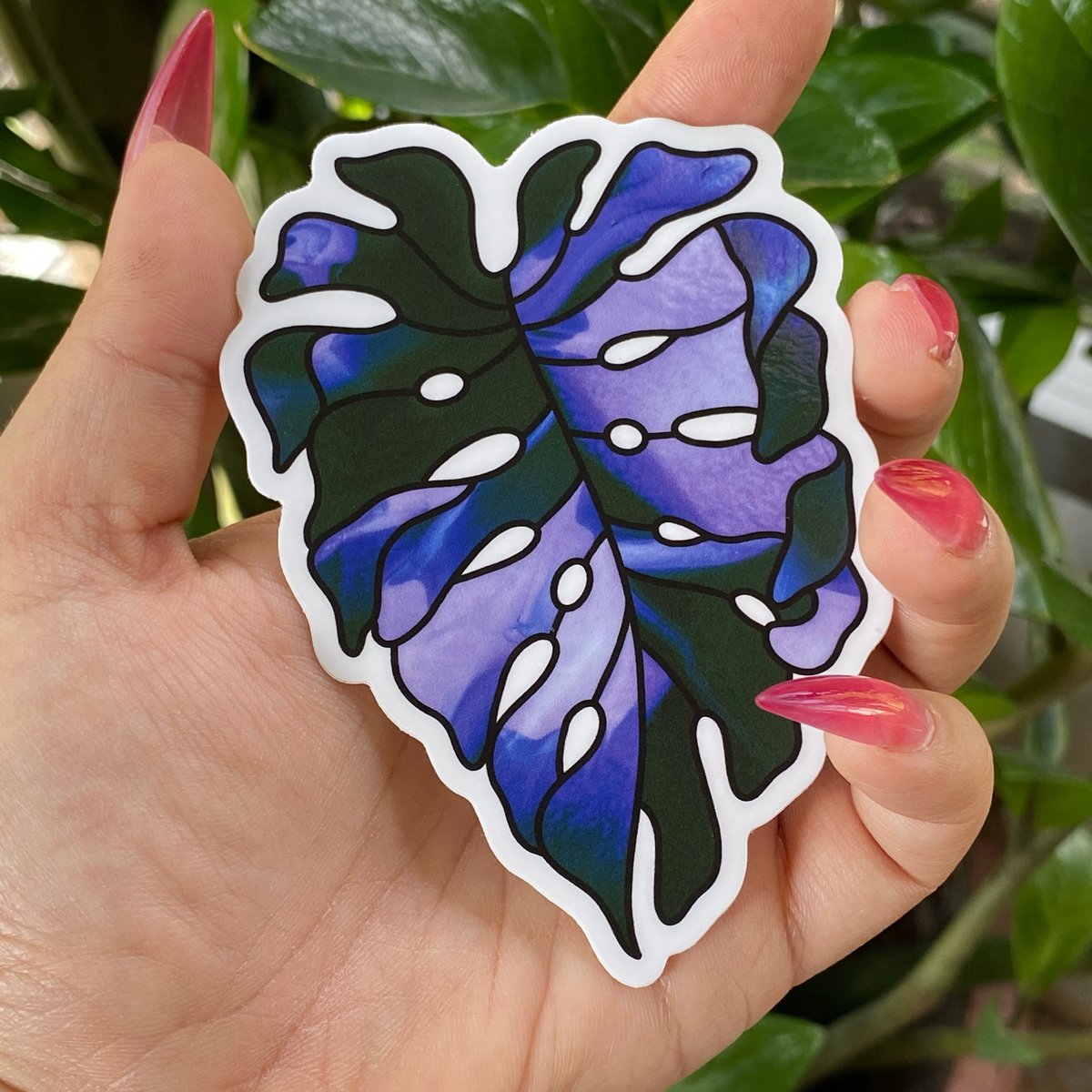 Image of Monstera Sticker