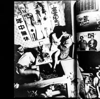 Image 6 of Nobuyoshi Araki "Fake Report"