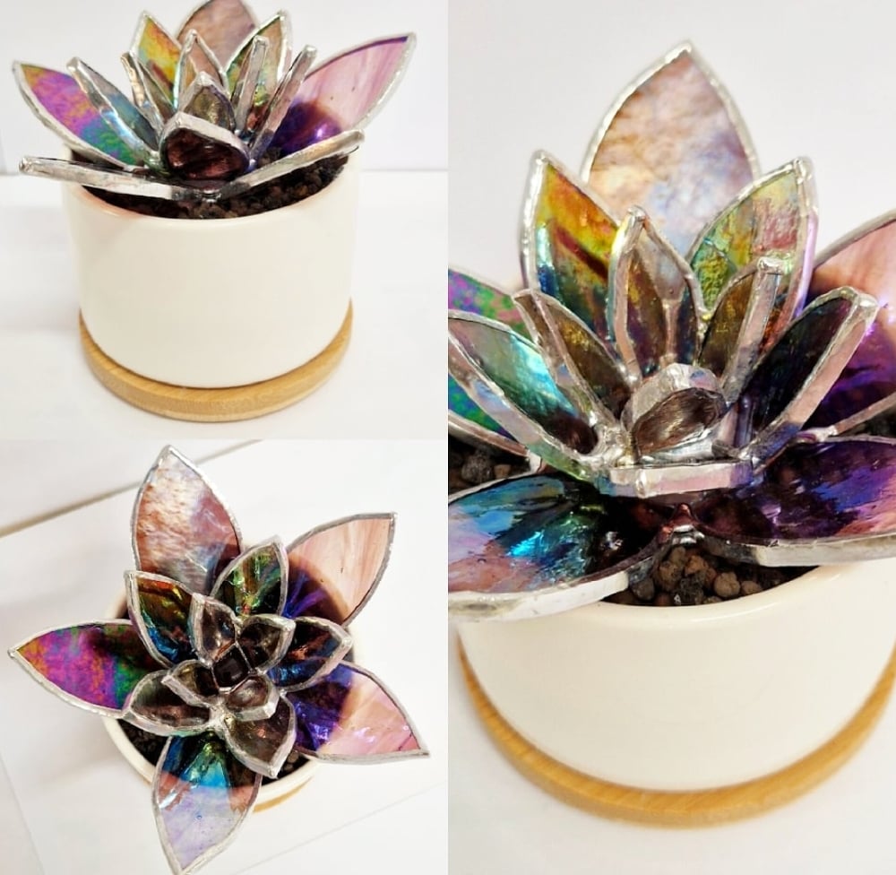 Image of Special Listing for Ellissa McIntosh 