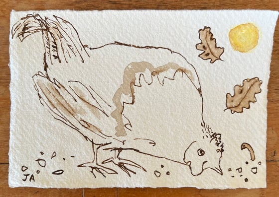 Image of Mr fortune looking for worms 