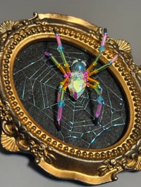 Image 2 of Iridescent Webbed Rainbow Widow in Gold