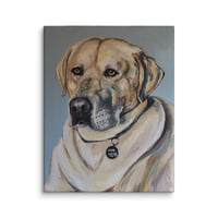 Image 4 of Yellow Labrador