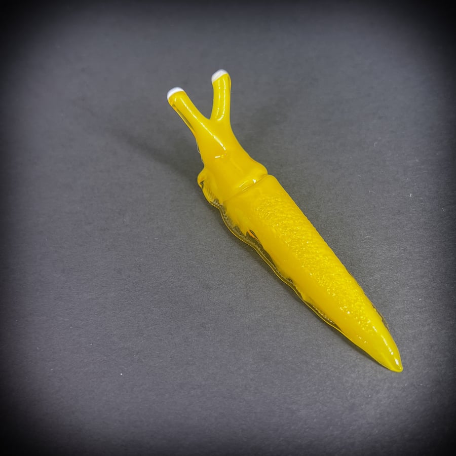 Image of Yellow Boro Slug