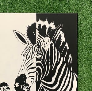 Image of A Zebra’s World