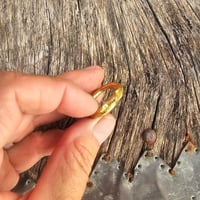 Image 4 of Golden twist, US, US 7