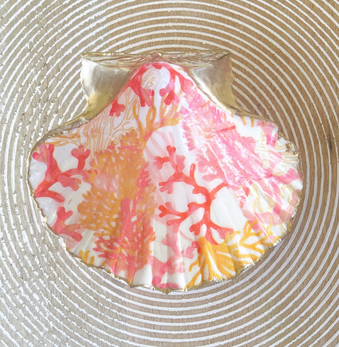 Image of Tropical Coral | Medium Trinket Shell