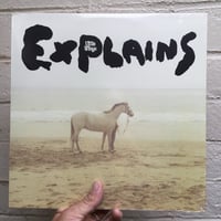 Image 1 of Little Wings “Explains” LP 