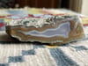 Tropitana Montana Agate