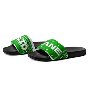 Image of Green Paisley Slides