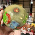 MADBALLS series 2 Lock Lips Image 4