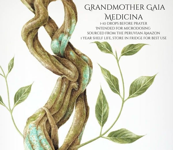 Image of Grandmother soul tincture lilac infusion 