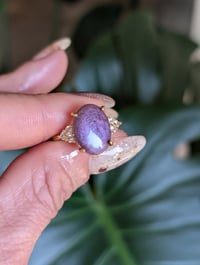 Image 1 of The Amanda