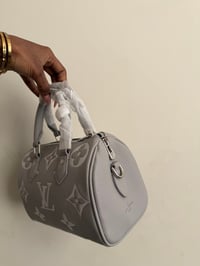 Image 5 of LV nano speedy bag
