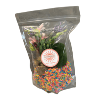 Image 1 of Fairy Garden Rice Sensory Pack