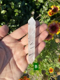 Image 2 of Tourmalinated Quartz Wands