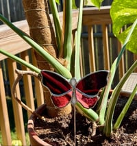 Image 1 of BUTTERFLY PLANT STAKE