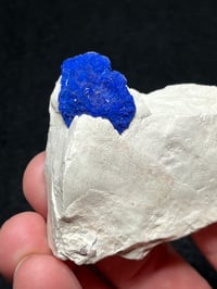 Image 2 of Azurite Suns On Matrix Specimen | NT Australia #2775