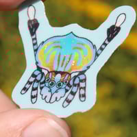 Image 2 of Mini Peacock Jumping Spider 1.5” Sticker