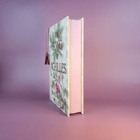 Image 3 of The Song of Achilles Rebind