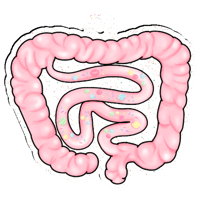 Image 4 of [PRE ORDER] Sweet Gutz Charm Keychain 