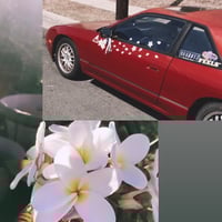 Image 4 of Plumeria Vinyl Decal Pack