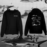Image 1 of Resolution Hoodie  Earth Day multiple sizes