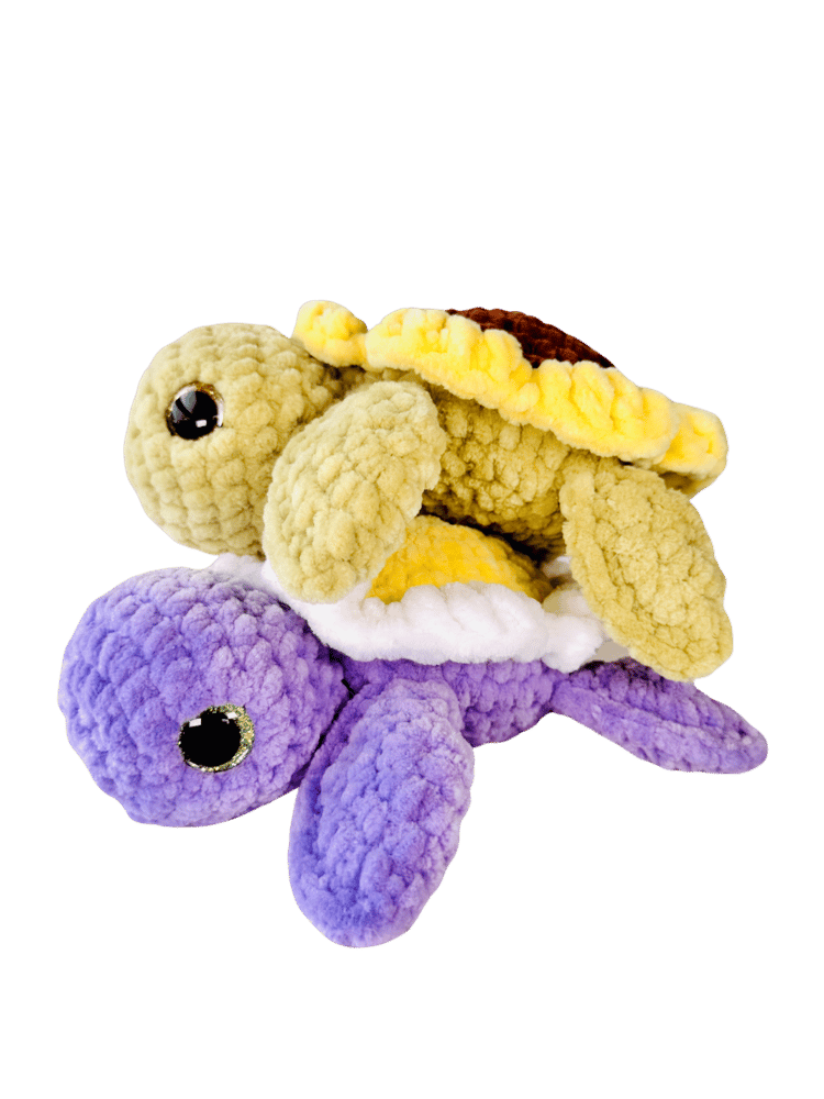 Image of flower turtle preorder