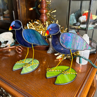 Image 2 of Purple Gallinule